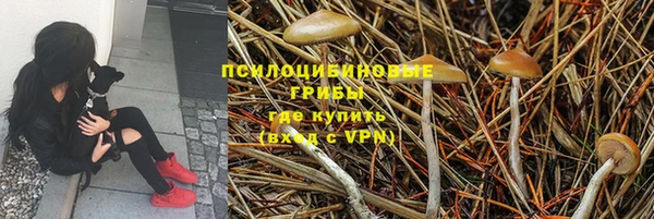 ECSTASY Осинники