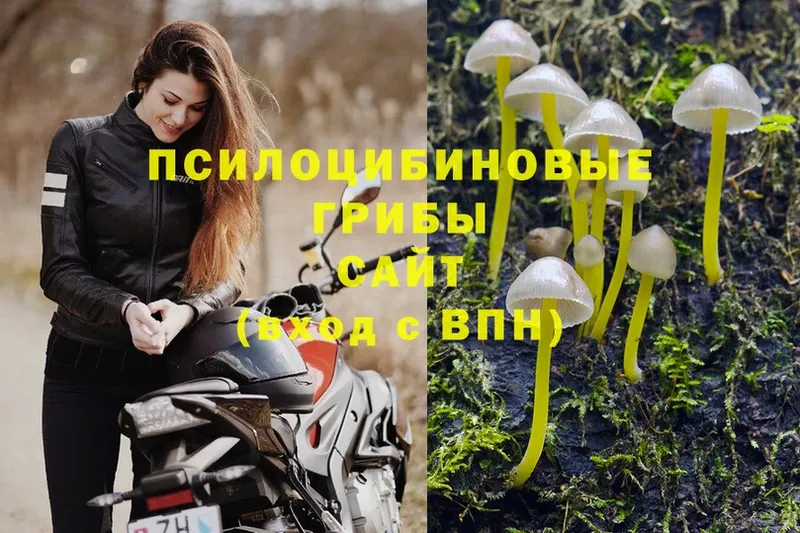 Галлюциногенные грибы Magic Shrooms  Минусинск 