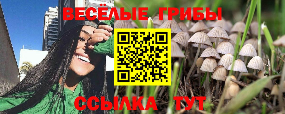 Галлюциногенные грибы GOLDEN TEACHER Минусинск